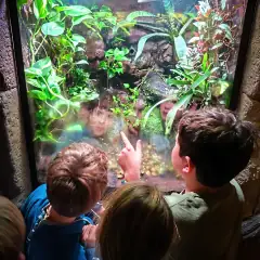 Discovery at Alma Forest School, image 2